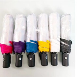 Transparent umbrella poe clear umbrella